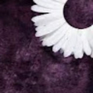 Meet your Posher, Simrah